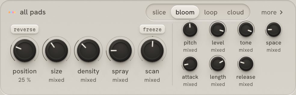 carve's pad page: the switch between slice, bloom, loop and cloud, with position, size, density, spray and scan, and pitch, level, tone, space and the envelope.
